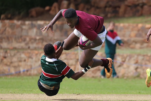 场力克海登 场力克海登