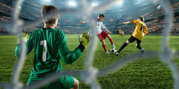 供了一个新 供了一个新