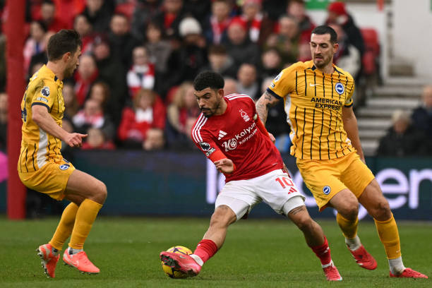 队赢得了一 队赢得了一