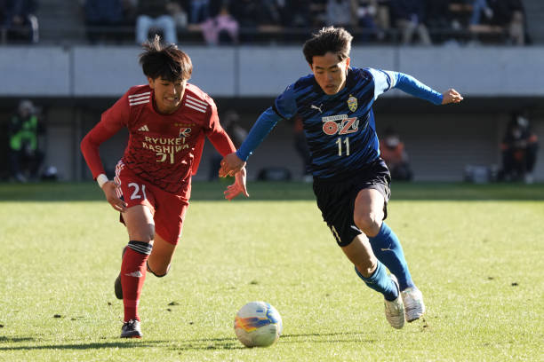 仅仅是为了 仅仅是为了