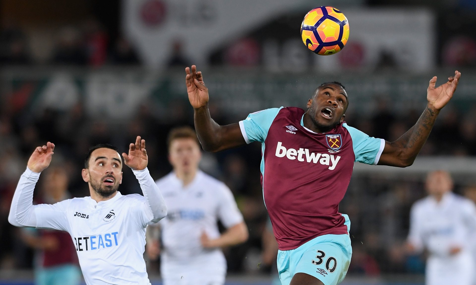 部奉献给了 部奉献给了